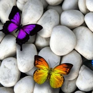 Meet your Posher, Ria